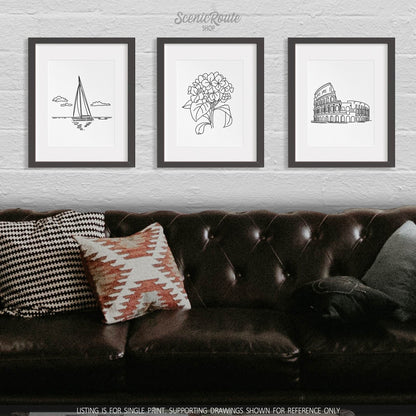 A group of three framed drawings on a wall above a couch. The line art drawings include Sailing, Hydrangea Flower, and the Colosseum