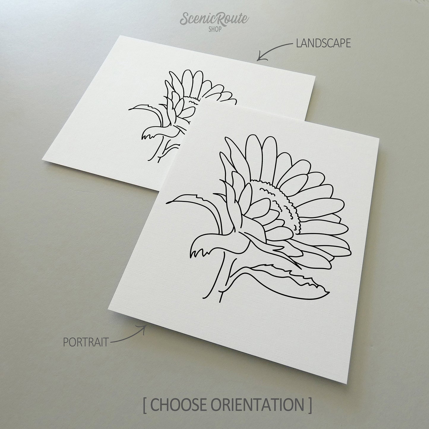 Two line art drawings of a Sunflower Flower on white linen paper with a gray background.  The pieces are shown in portrait and landscape orientation for the available art print options.