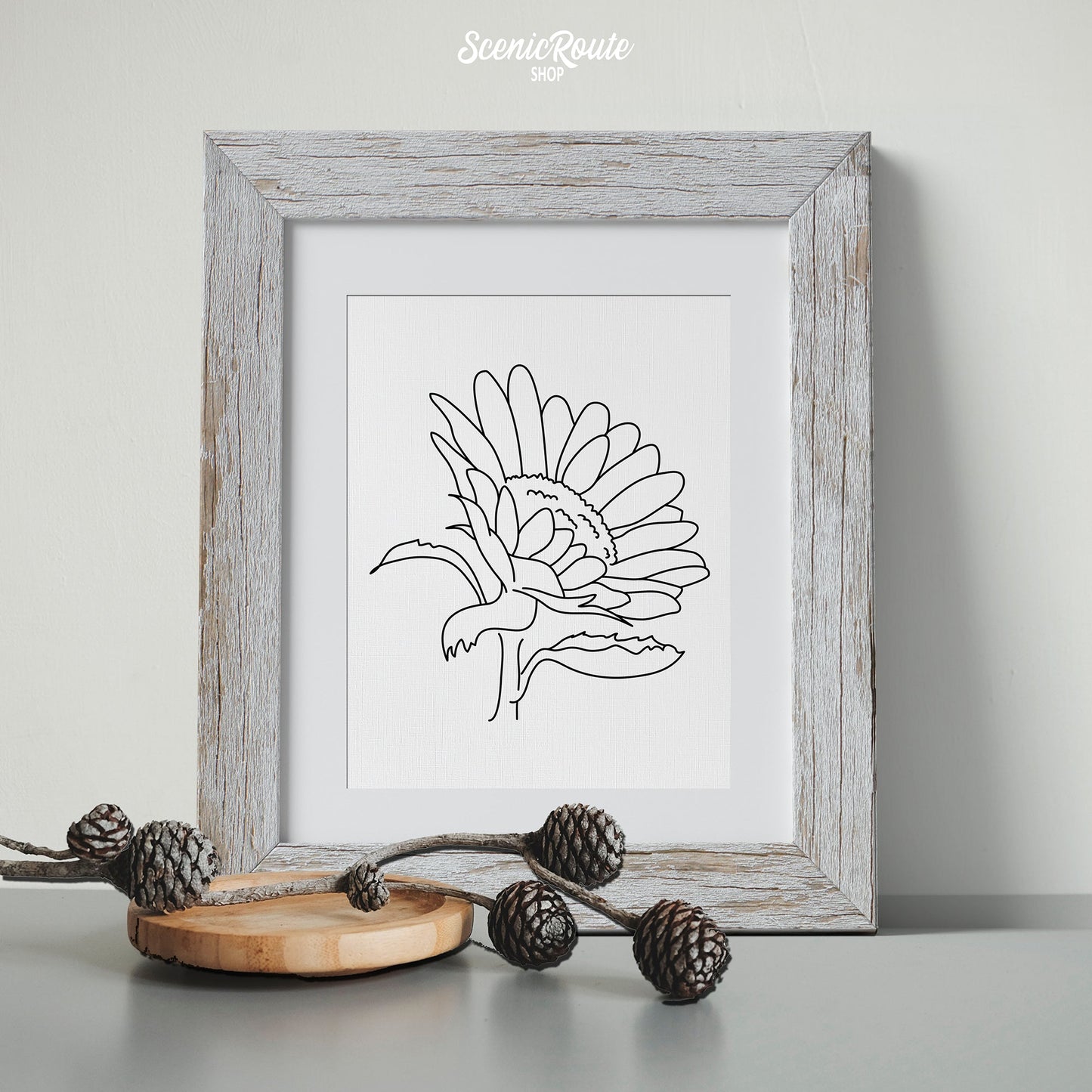 A framed line art drawing of a Sunflower Flower on a table with pinecones