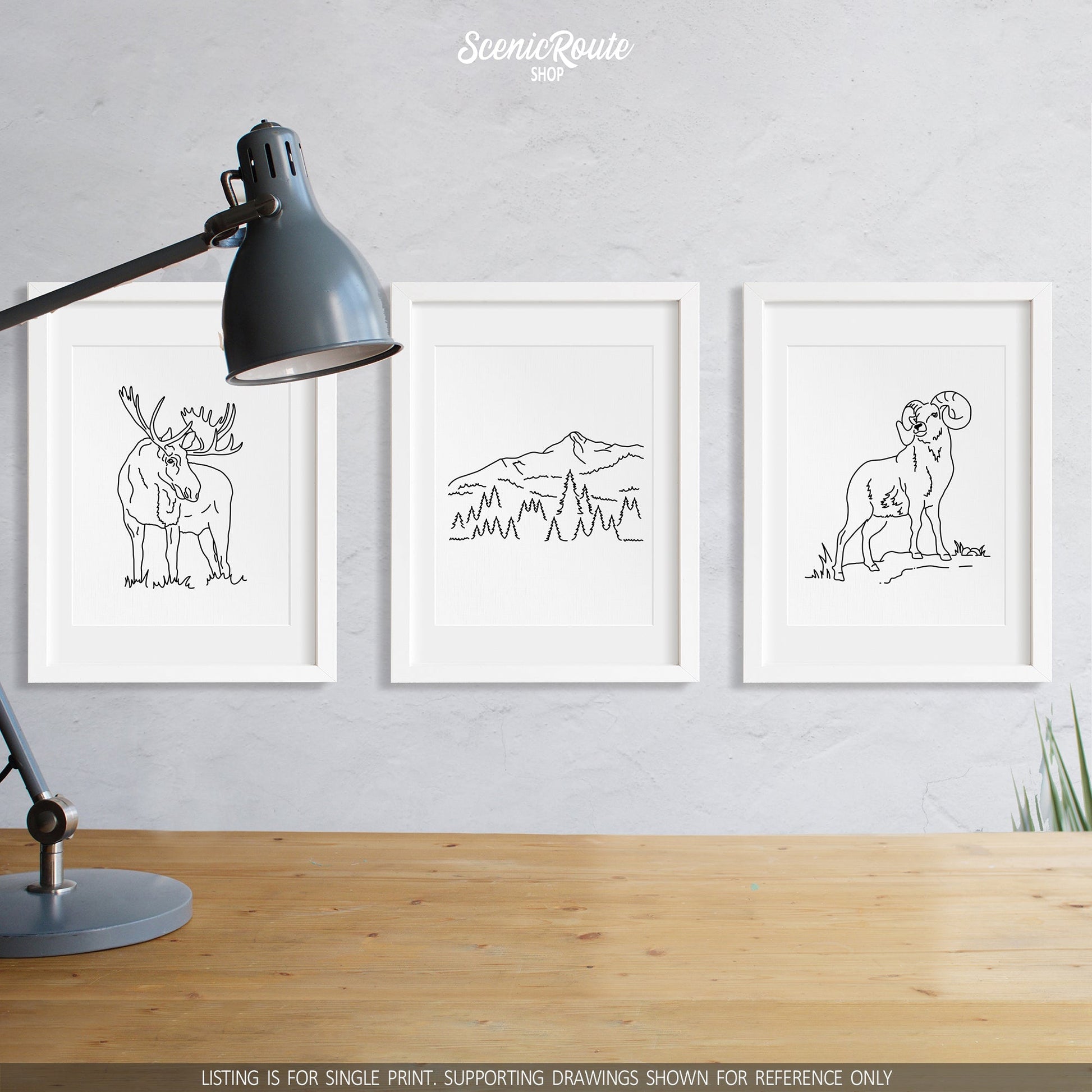 A group of three framed drawings on a wall above a desk with a lamp. The line art drawings include a Moose, Big Sky Montana, and a Longhorn Sheep
