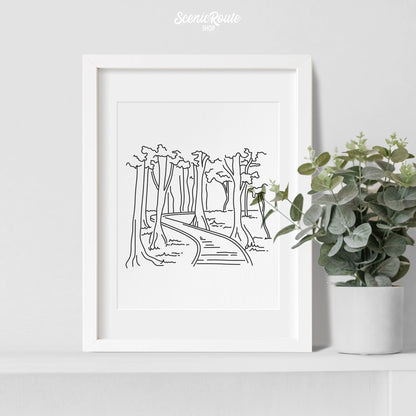 A framed line art drawing of Congaree National Park with a potted plant