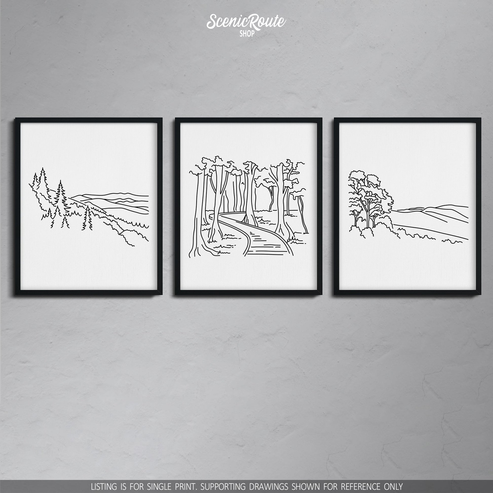 A group of three framed drawings on a wall. The line art drawings include Great Smoky Mountains National Park, Congaree National Park, and Shenandoah National Park