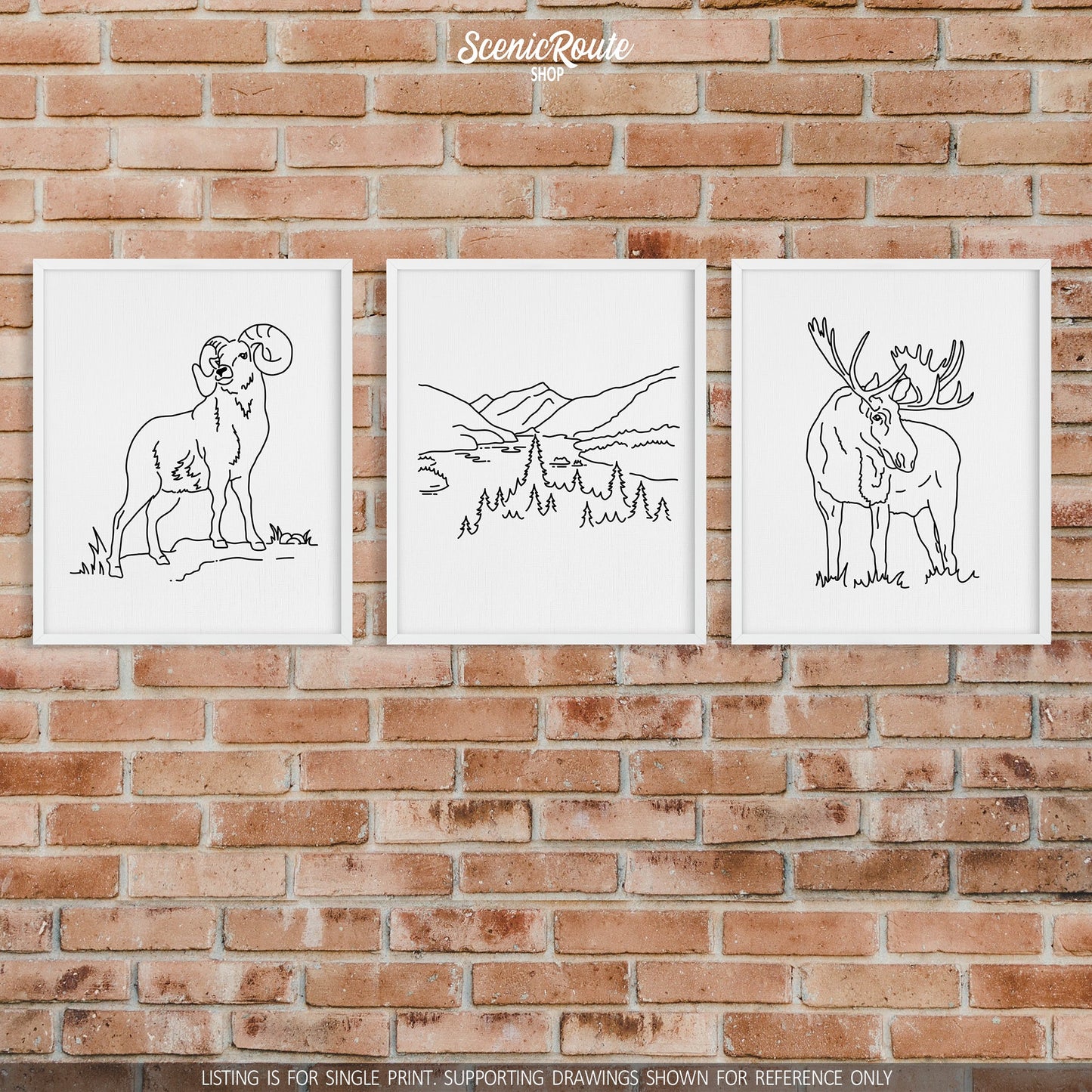 A group of three framed drawings on a brick wall. The line art drawings include a Longhorn Sheep, North Cascades National Park, and Moose