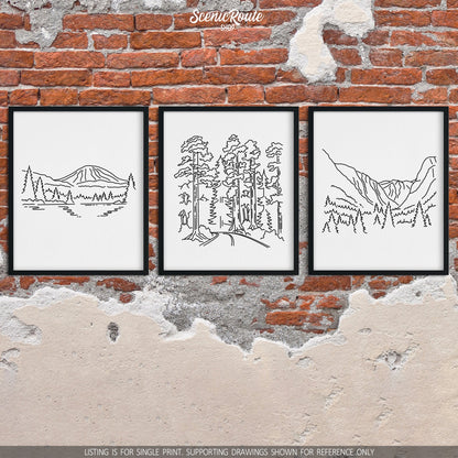 A group of three framed drawings on a brick wall. The line art drawings include Lassen Volcanic National Park, Redwood National Park, and Kings Canyon National Park