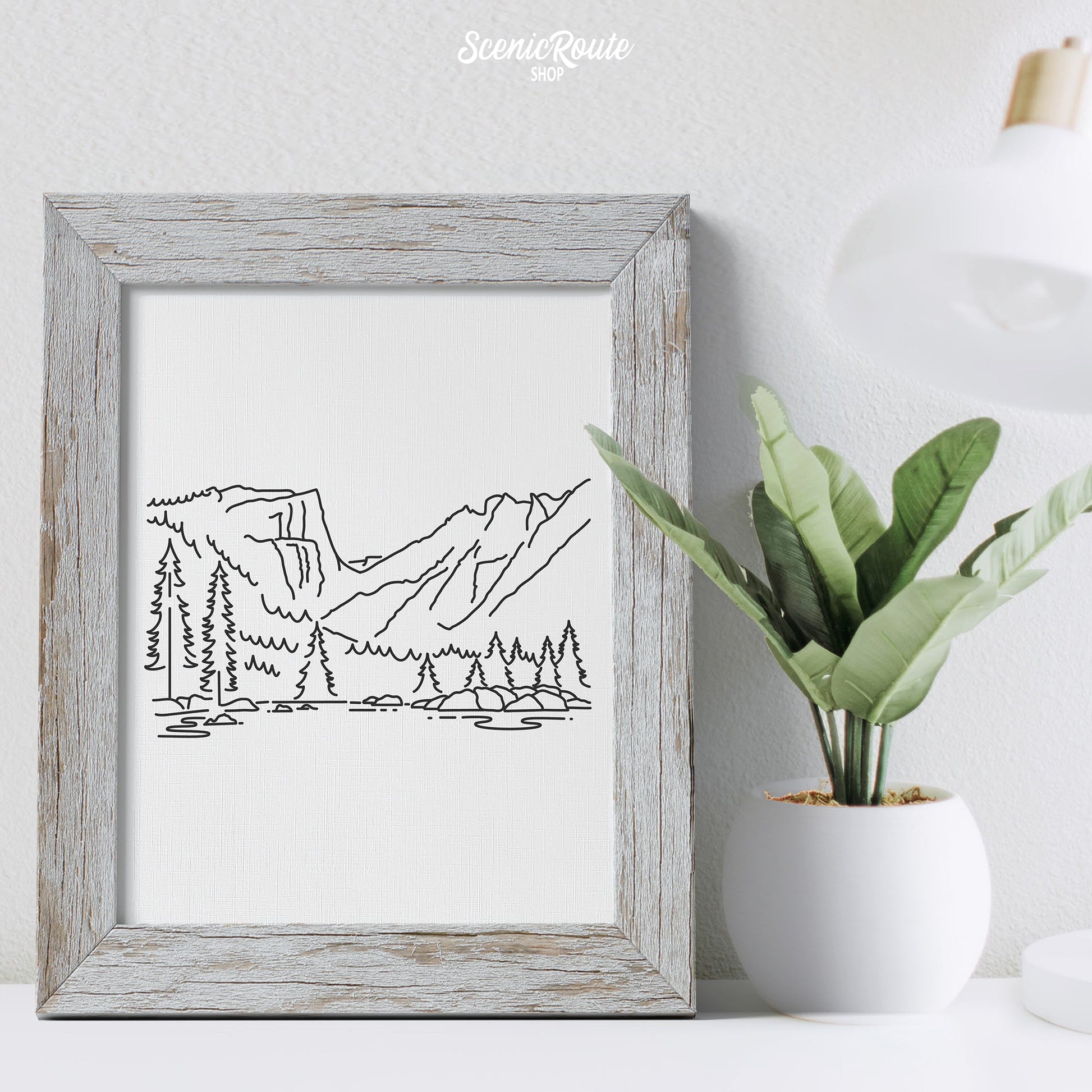 A framed line art drawing of Rocky Mountain National Park on a desk with a lamp and potted plant