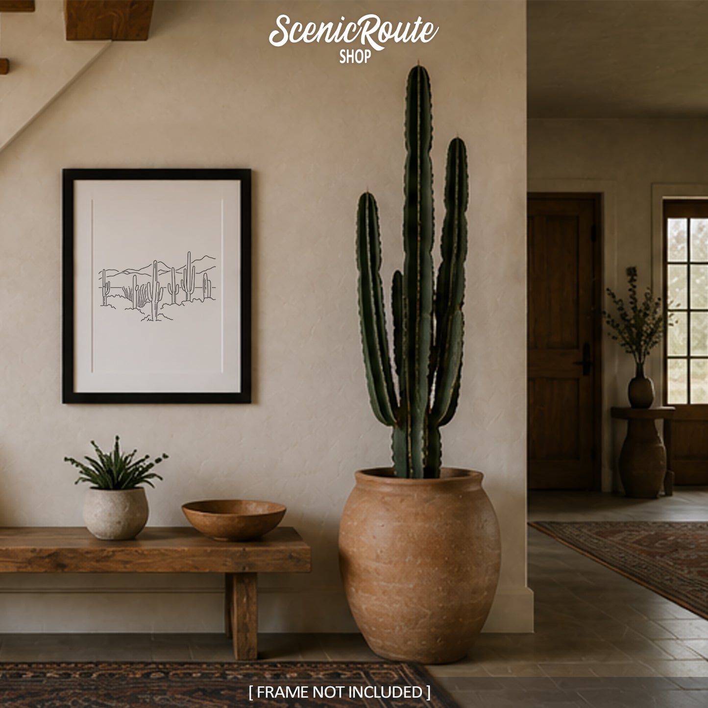 Saguaro National Park, Arizona Art Print