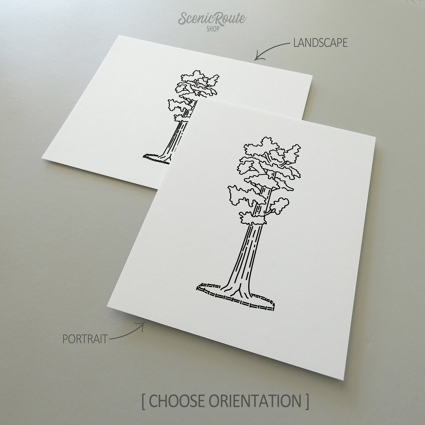 Two line art drawings of Sequoia National Park on white linen paper with a gray background. The pieces are shown in portrait and landscape orientation for the available art print options.