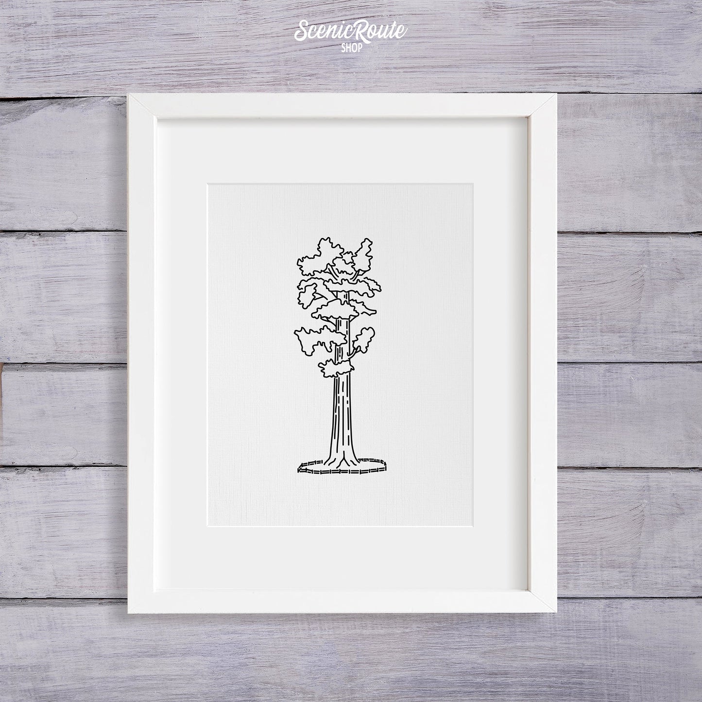 A framed line art drawing of Sequoia National Park on a wood wall