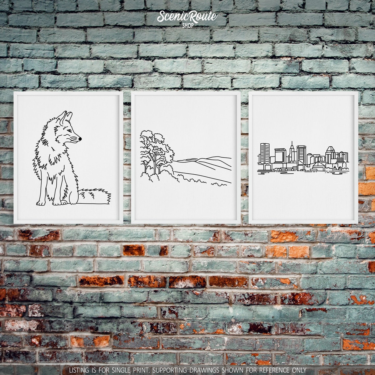 A group of three framed drawings on a brick wall. The line art drawings include a Fox, Shenandoah National Park, and the Baltimore Skyline