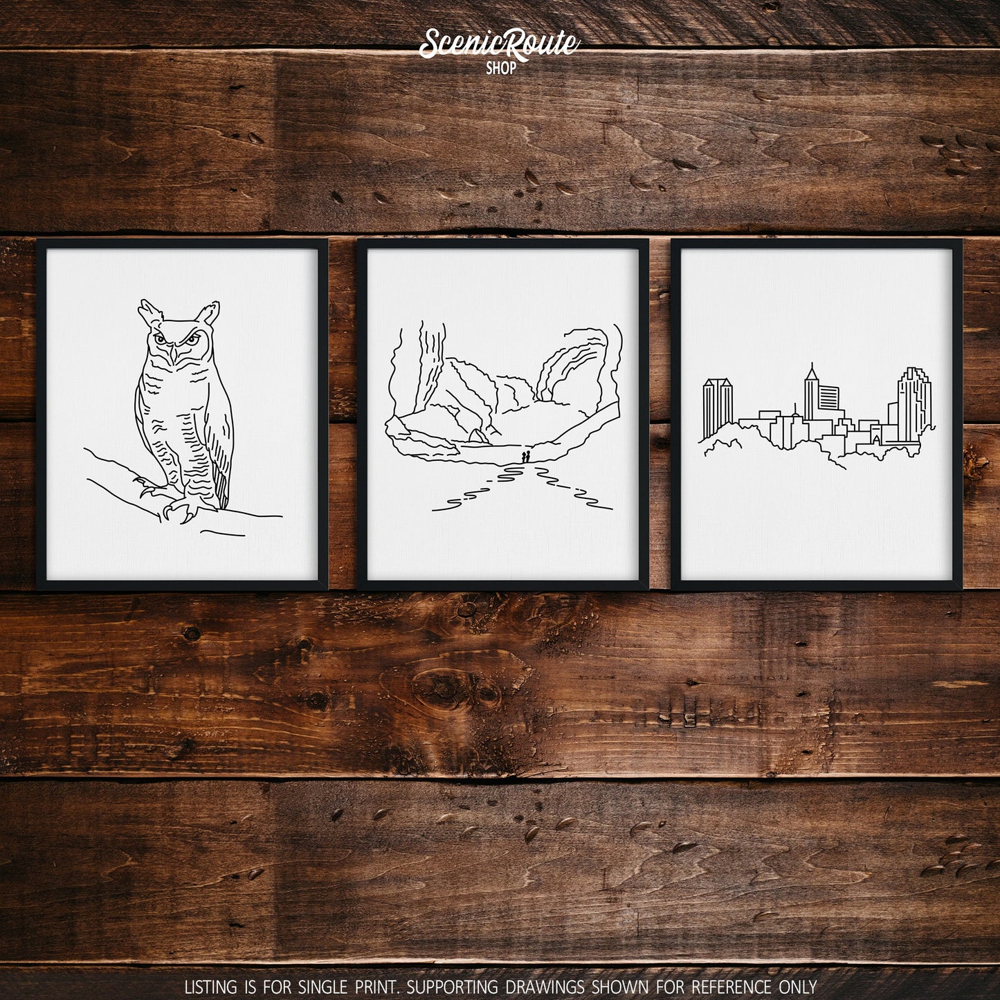 A group of three framed drawings on a wood wall. The line art drawings include an Owl, Wind Cave National Park, and the Raleigh Skyline