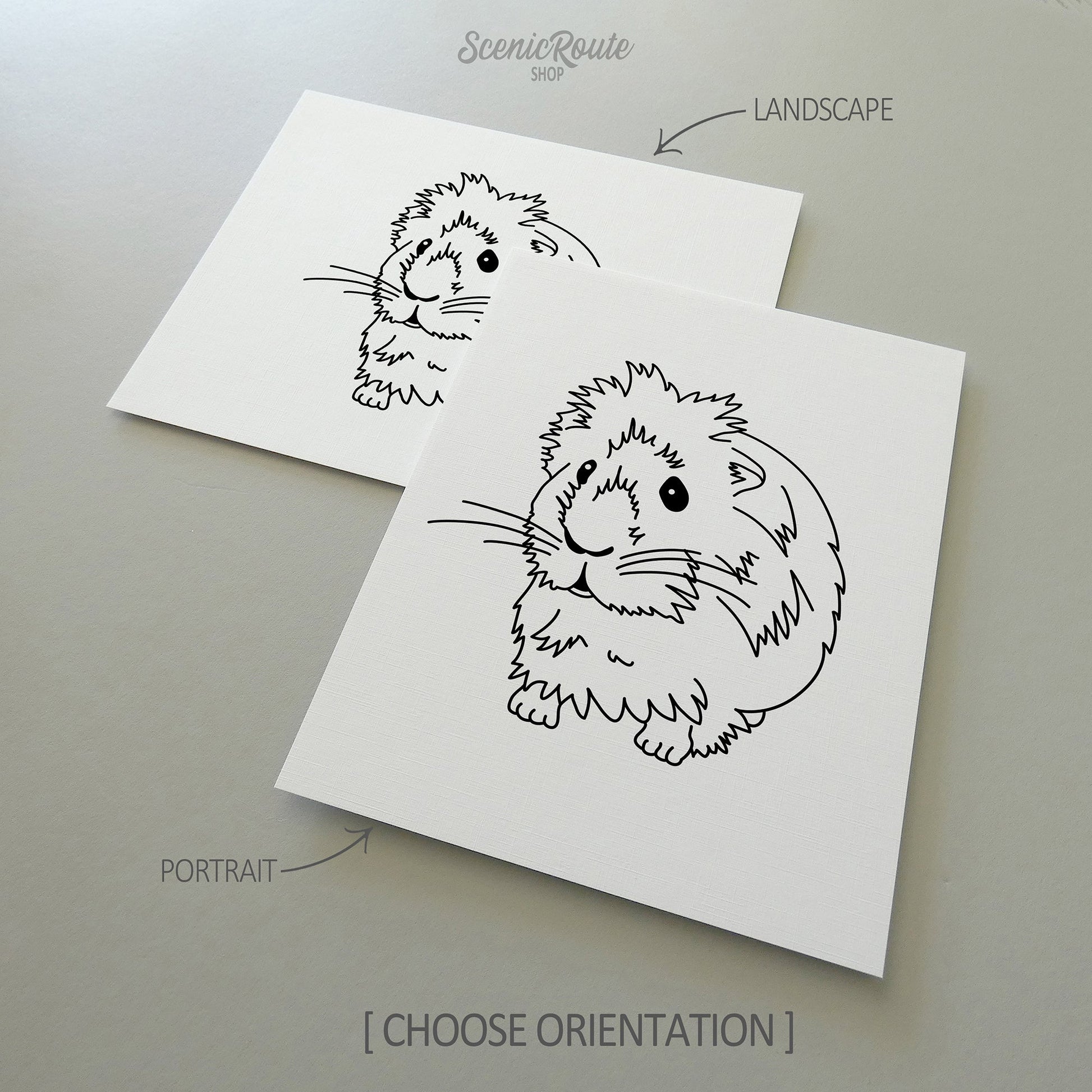 Two line art drawings of a Guinea Pig on white linen paper with a gray background.  The pieces are shown in portrait and landscape orientation for the available art print options.