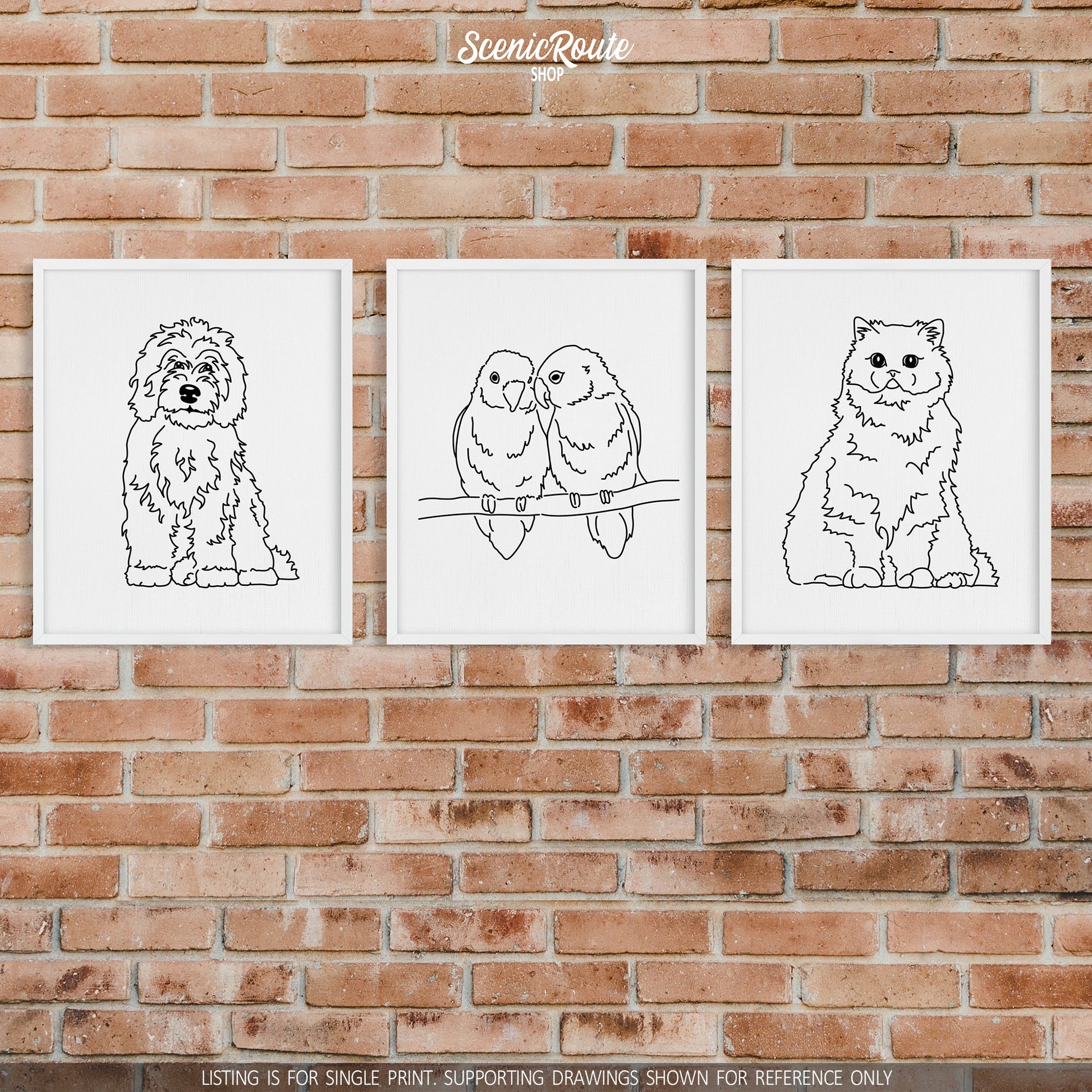 A group of three framed drawings on a brick wall. The line art drawings include a Sheepadoodle dog, Love Birds, and a Persian cat
