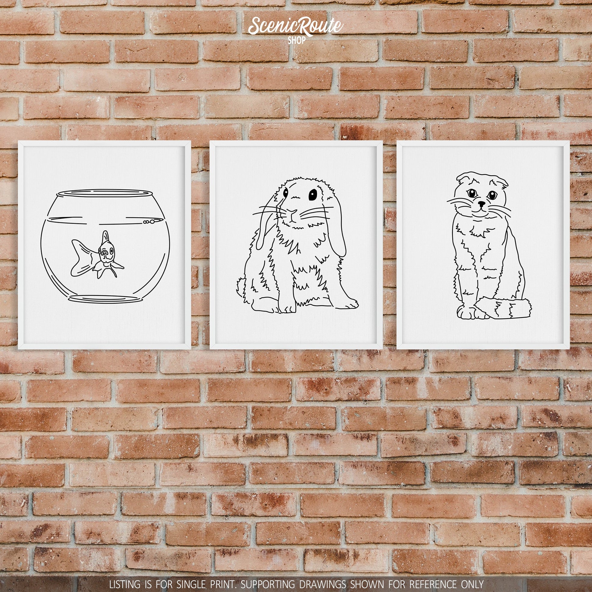 A group of three framed drawings on a brick wall. The line art drawings include a Goldfish, a Mini Lop Rabbit, and a Scottish Fold cat