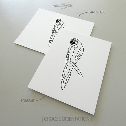Two line art drawings of a Parrot on white linen paper with a gray background.  The pieces are shown in portrait and landscape orientation for the available art print options.