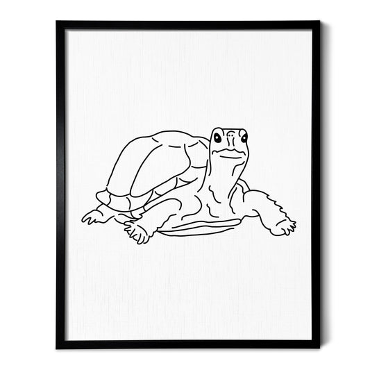 A line art drawing of a Tortoise on white linen paper in a thin black picture frame