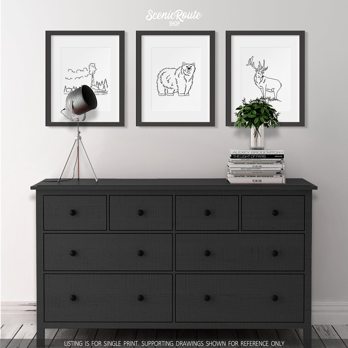 A group of three framed drawings on a wall above a dresser with books and a plant. The line art drawings include Yellowstone National Park, a Grizzly Bear, and an Elk