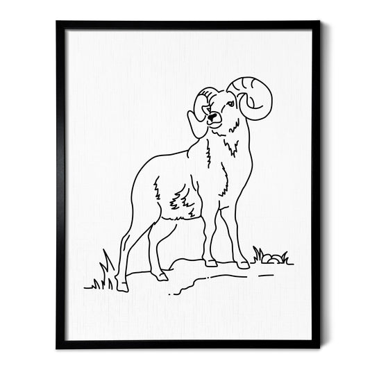 A line art drawing of a Longhorn Sheep on white linen paper in a thin black picture frame