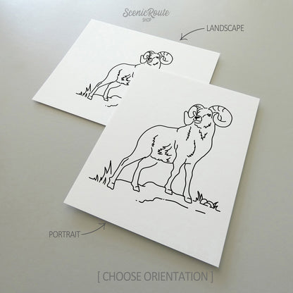 Two line art drawings of a Longhorn Sheep on white linen paper with a gray background.  The pieces are shown in portrait and landscape orientation for the available art print options.