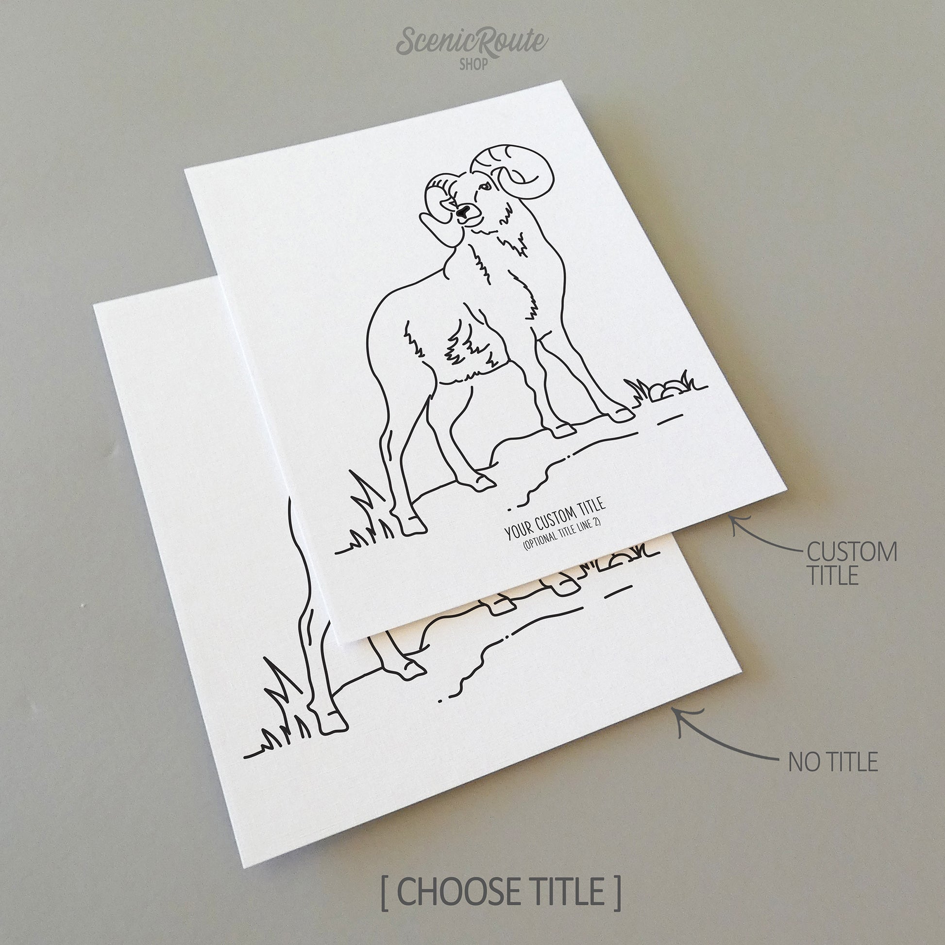 Two line art drawings of a Longhorn Sheep on white linen paper with a gray background.  The pieces are shown with “No Title” and “Custom Title” options for the available art print options.