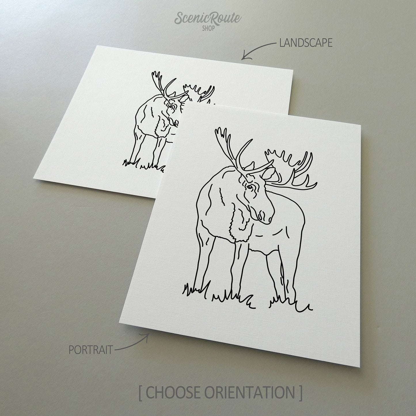 Two line art drawings of a Moose on white linen paper with a gray background.  The pieces are shown in portrait and landscape orientation for the available art print options.