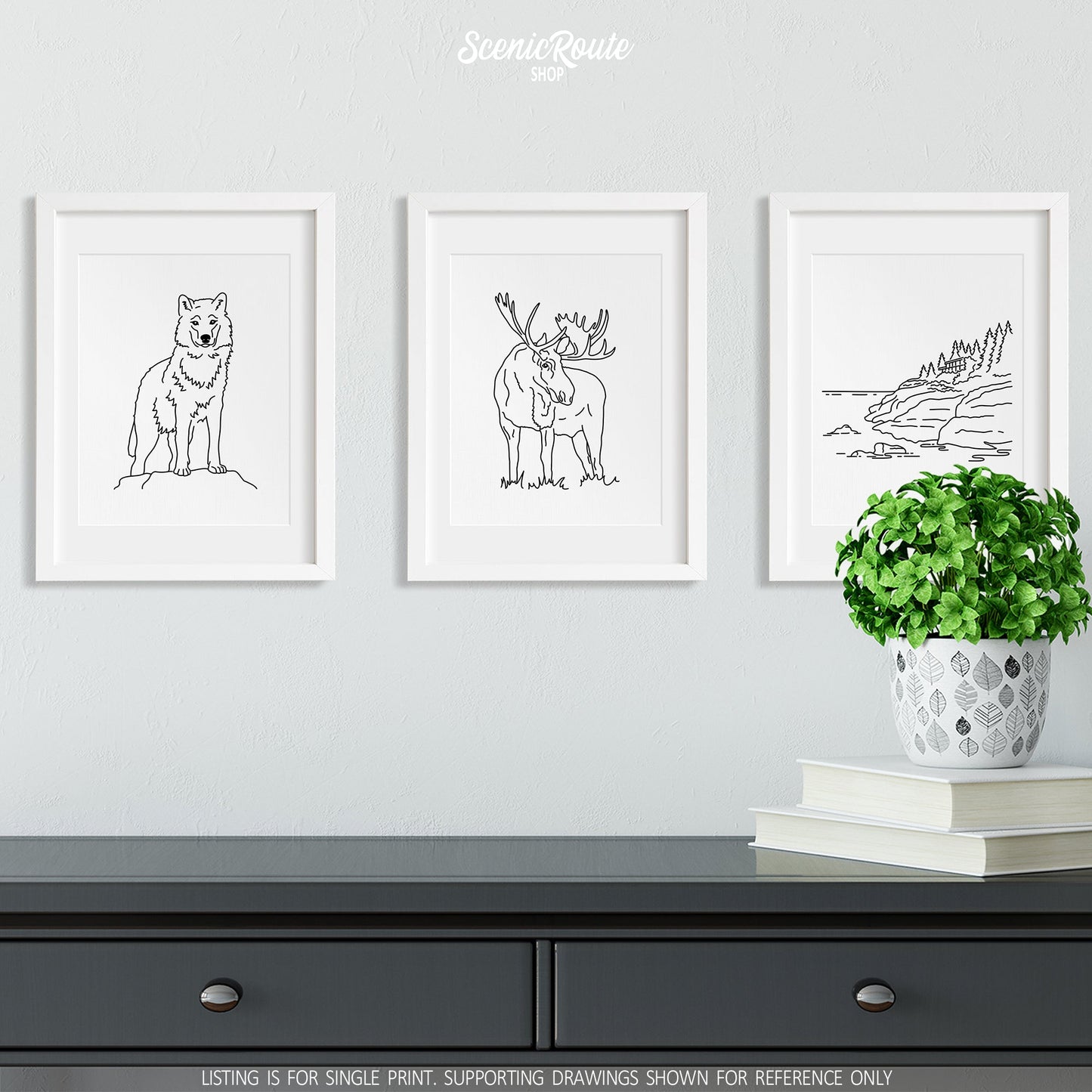 A group of three framed drawings on a wall above a dresser with books and a plant. The line art drawings include a Wolf, Moose, and Isle Royale National Park