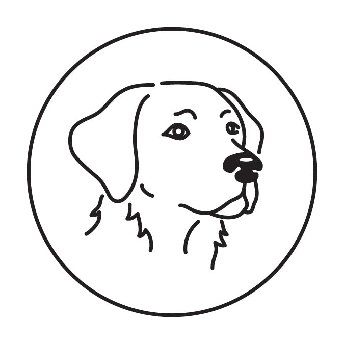Dogs