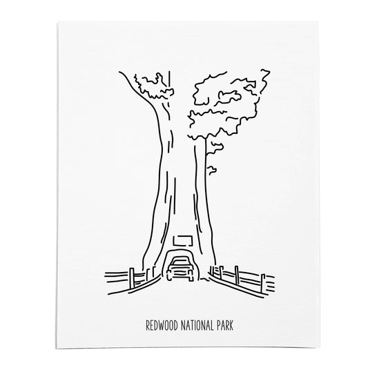 An art print featuring a line drawing of Redwood National Park on white linen paper
