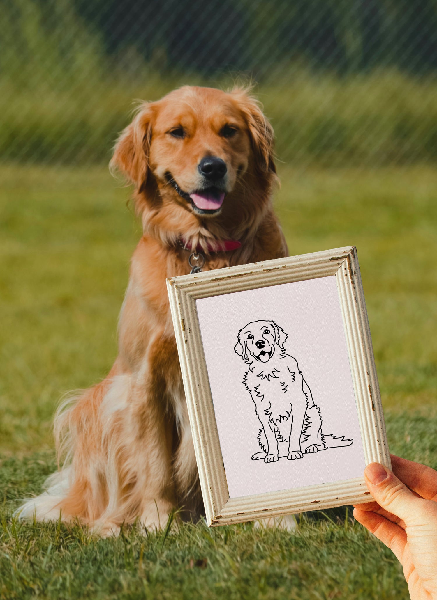 A golden retriever sitting with a framed drawing held up in front