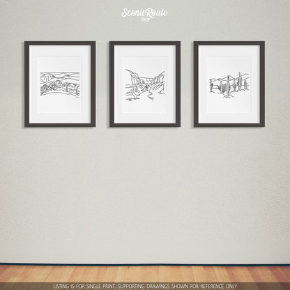 A group of three framed drawings on a white wall. The line art drawings include Petrified Forest National Park, Grand Canyon National Park, and Saguaro National Park