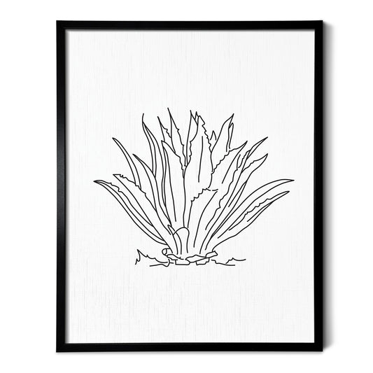 Agave Cactus Art Print
