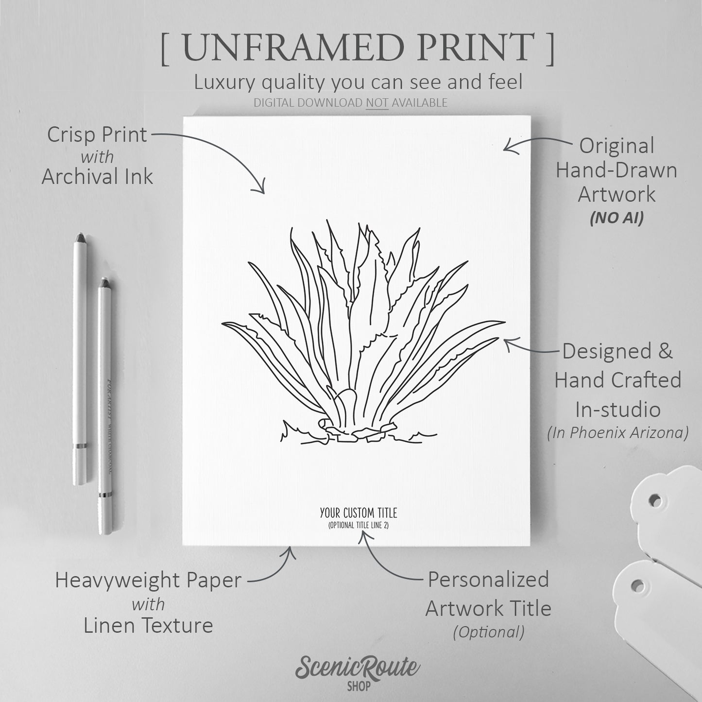 Agave Cactus Art Print