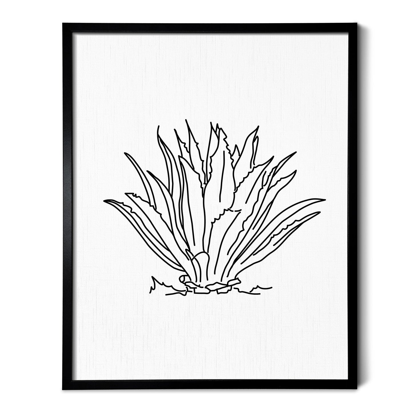 A line art drawing of an Agave Cactus on white linen paper in a thin black picture frame