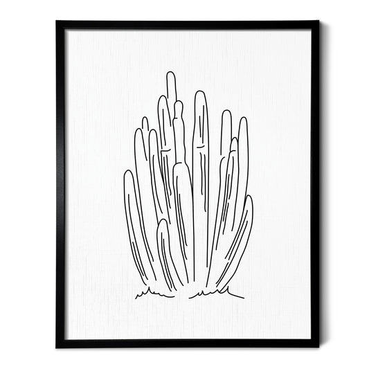 Organ Pipe Cactus Art Print