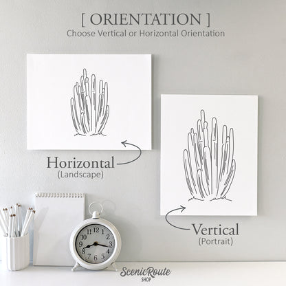 Organ Pipe Cactus Art Print