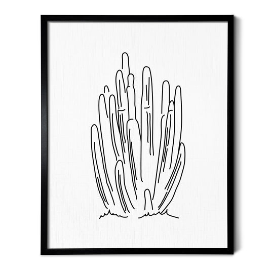 A line art drawing of a Organ Pipe Cactus on white linen paper in a thin black picture frame