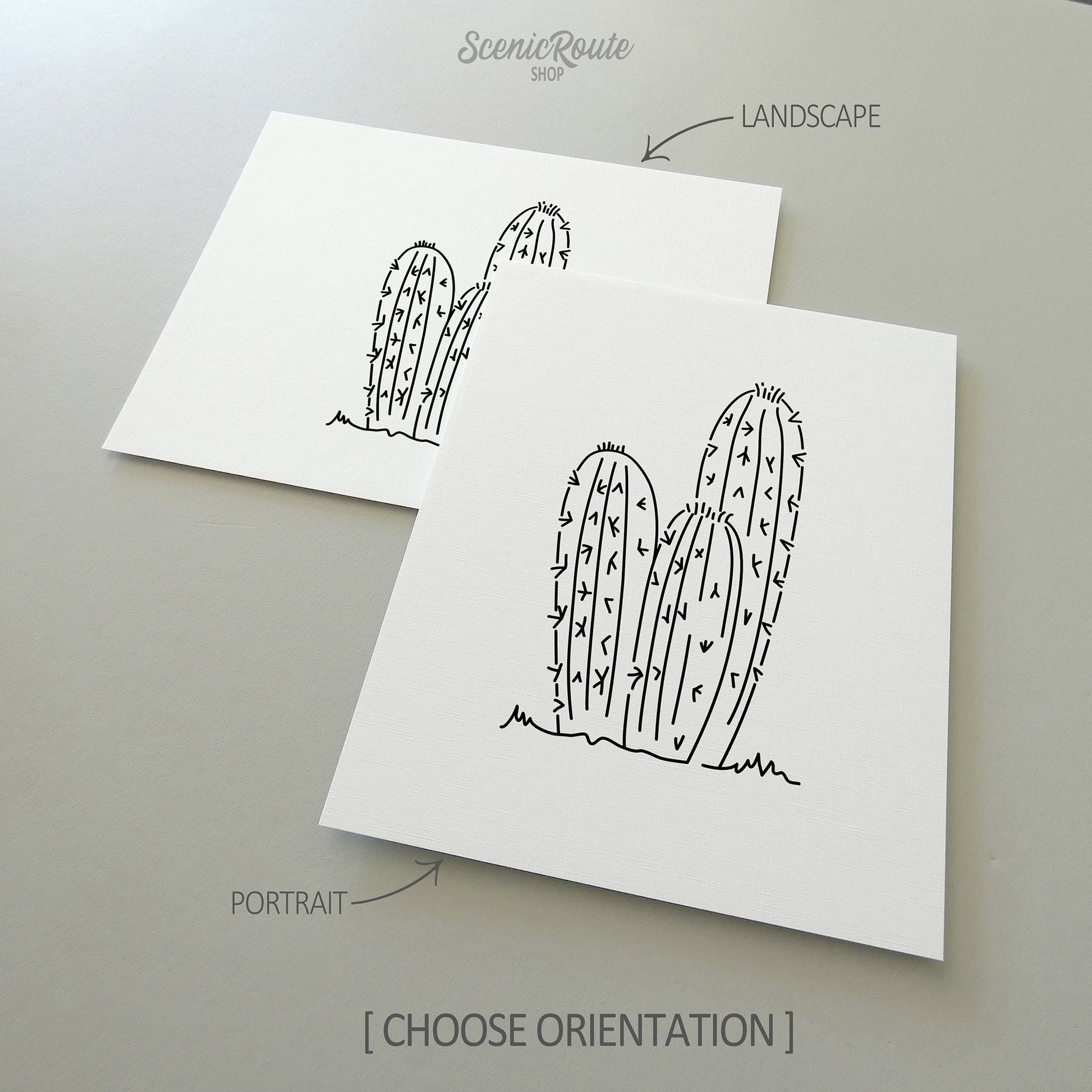 Two line art drawings of a Torch Cactus on white linen paper with a gray background.  The pieces are shown in portrait and landscape orientation for the available art print options.