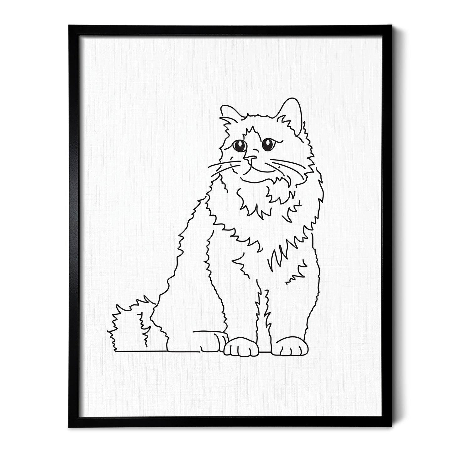Birman Cat Art Print