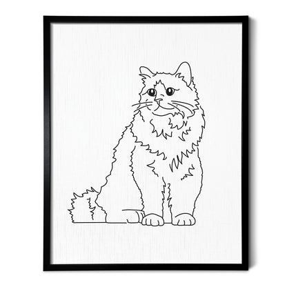 Birman Cat Art Print