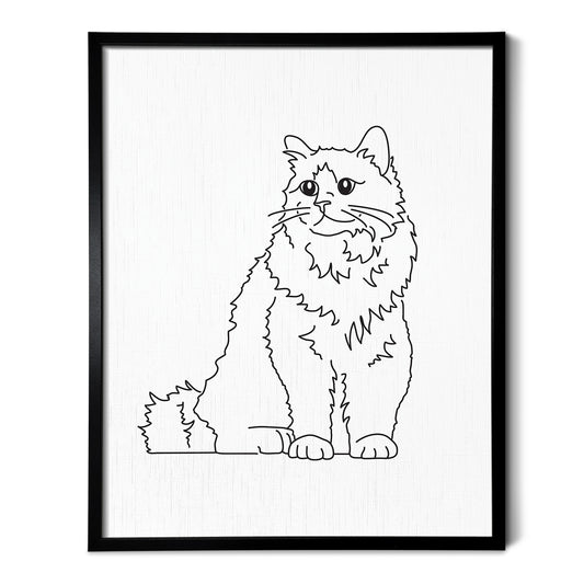 Birman Cat Art Print