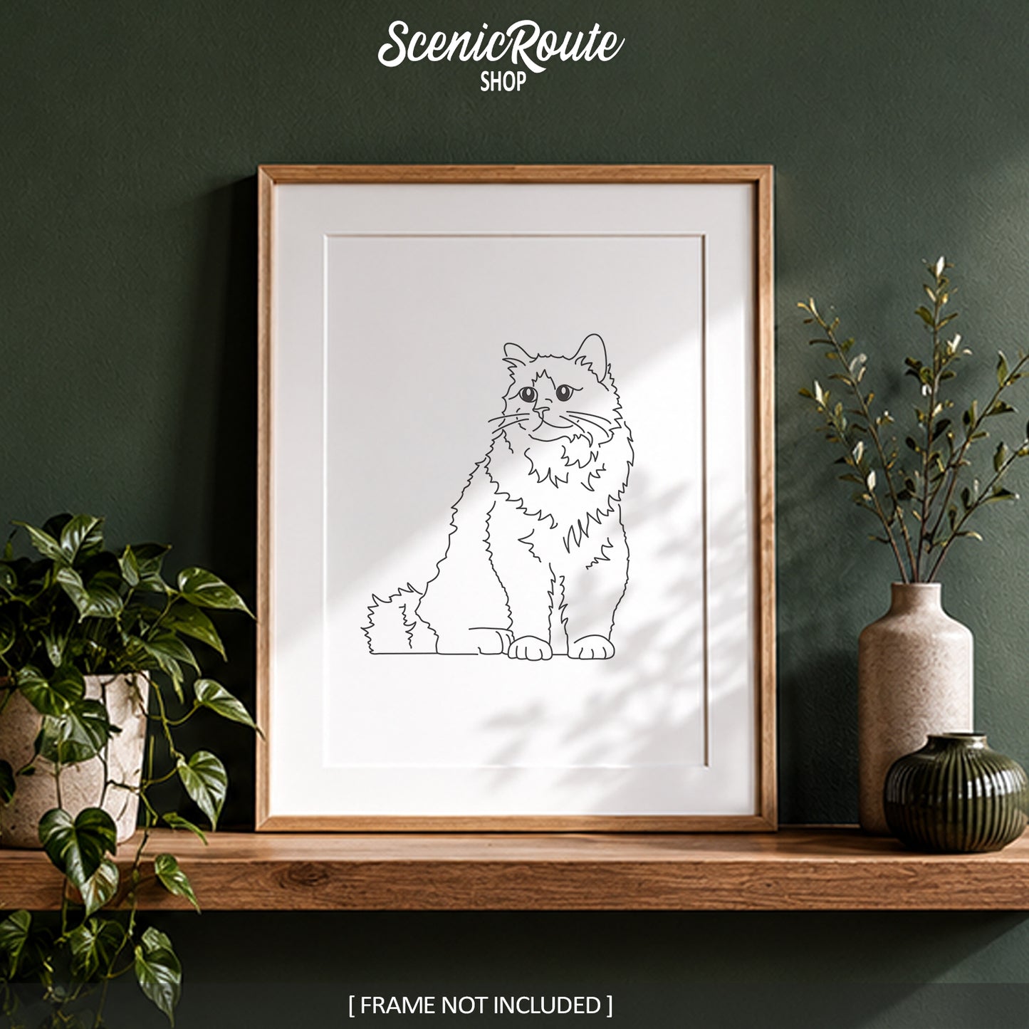 Birman Cat Art Print