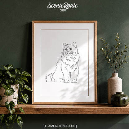 Birman Cat Art Print