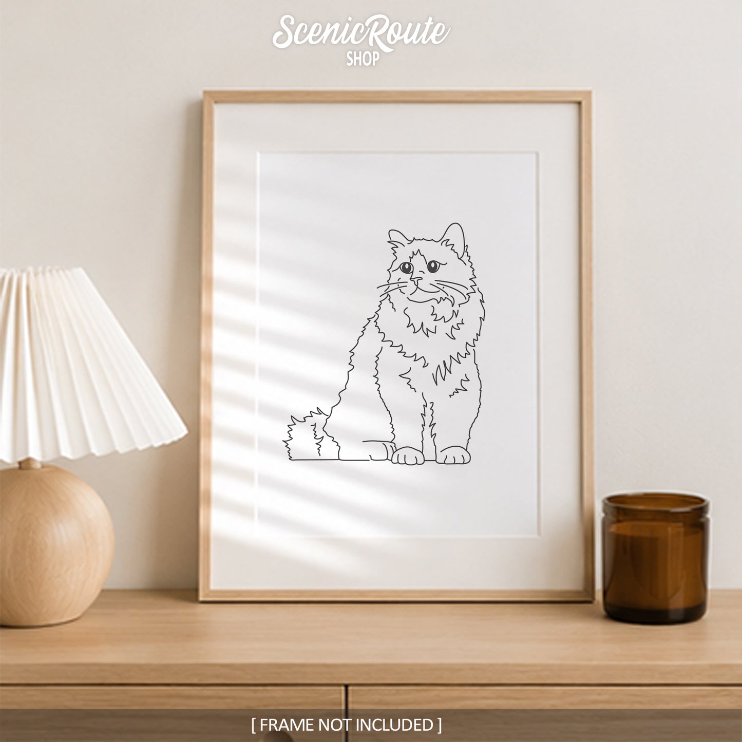 Birman Cat Art Print