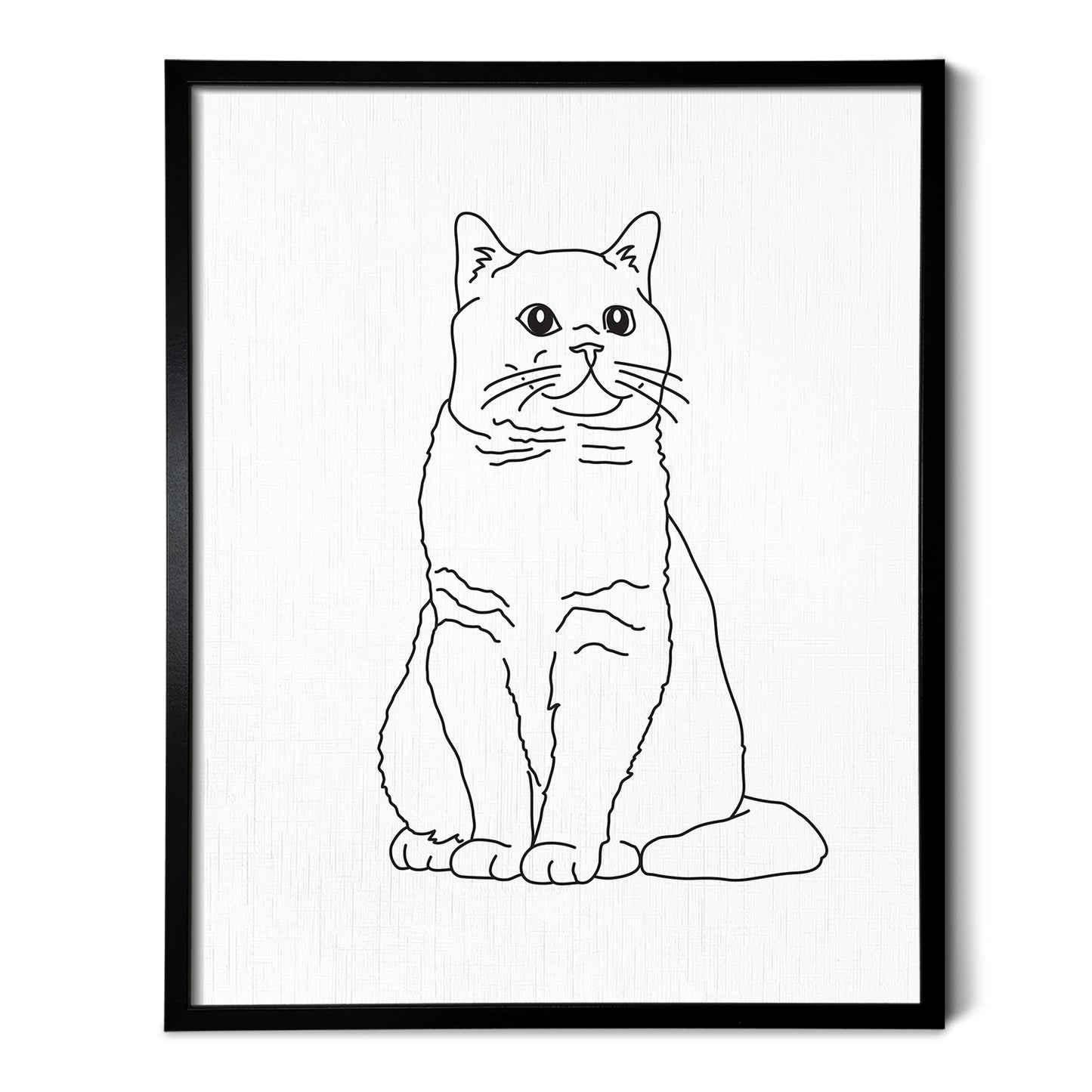 British Shorthair Cat Art Print