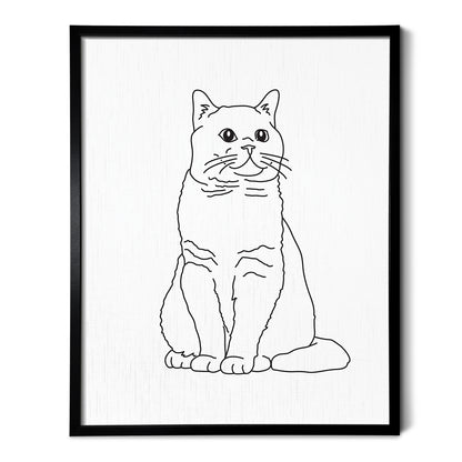 British Shorthair Cat Art Print