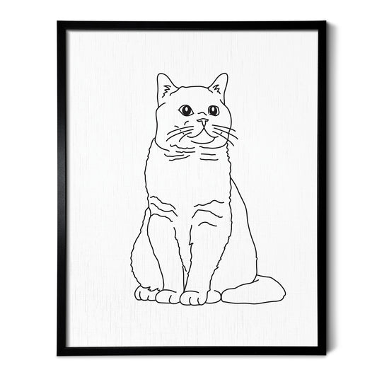 British Shorthair Cat Art Print