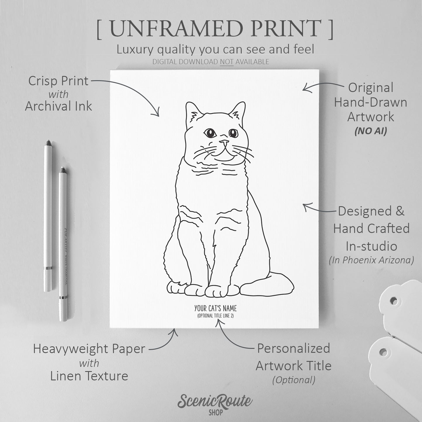 British Shorthair Cat Art Print