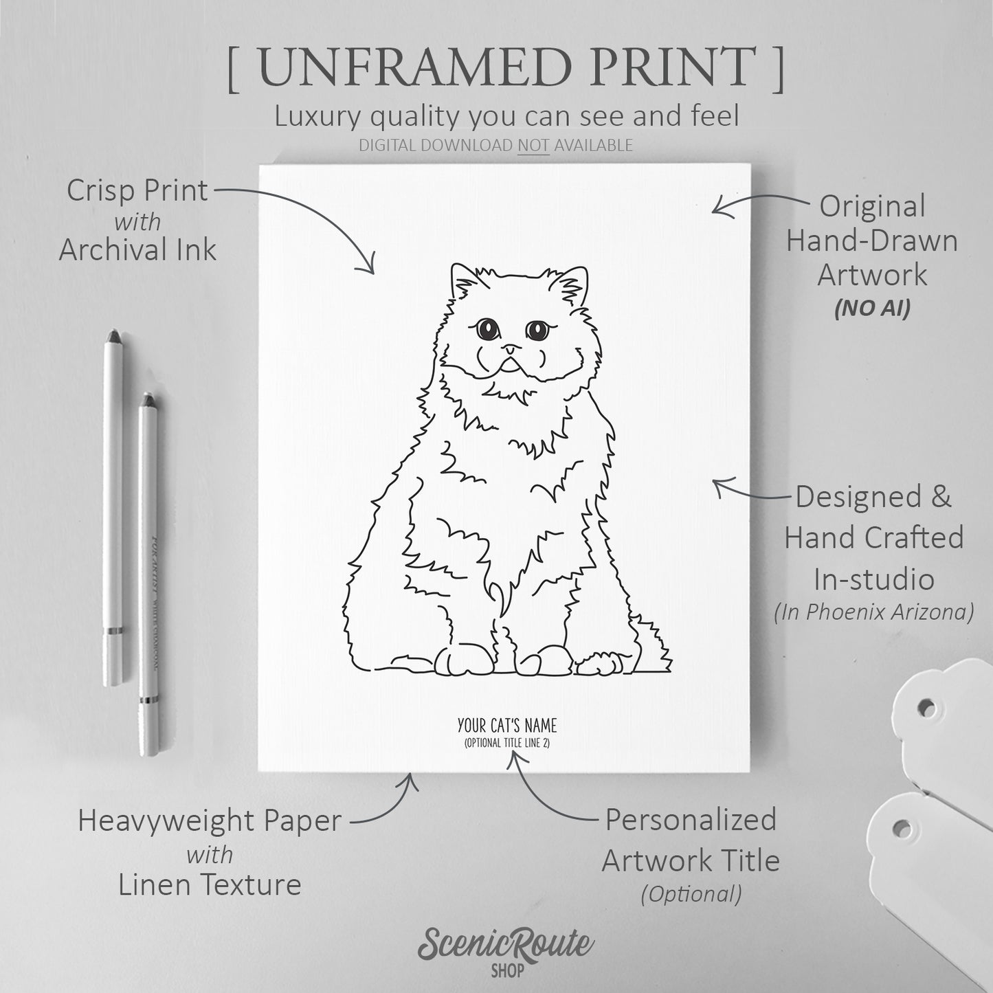 Persian Cat Art Print