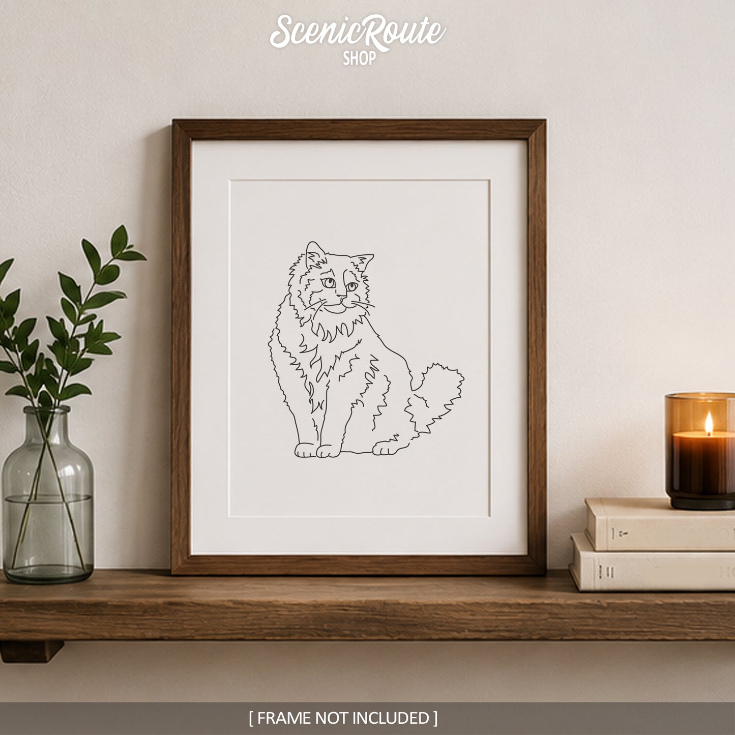 Ragdoll Cat Art Print