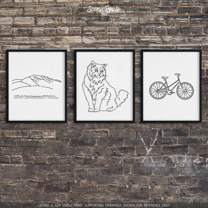 A group of three framed drawings on a brick wall. The line art drawings include Humphrey's Peak, a Ragdoll cat, and a Bicycle