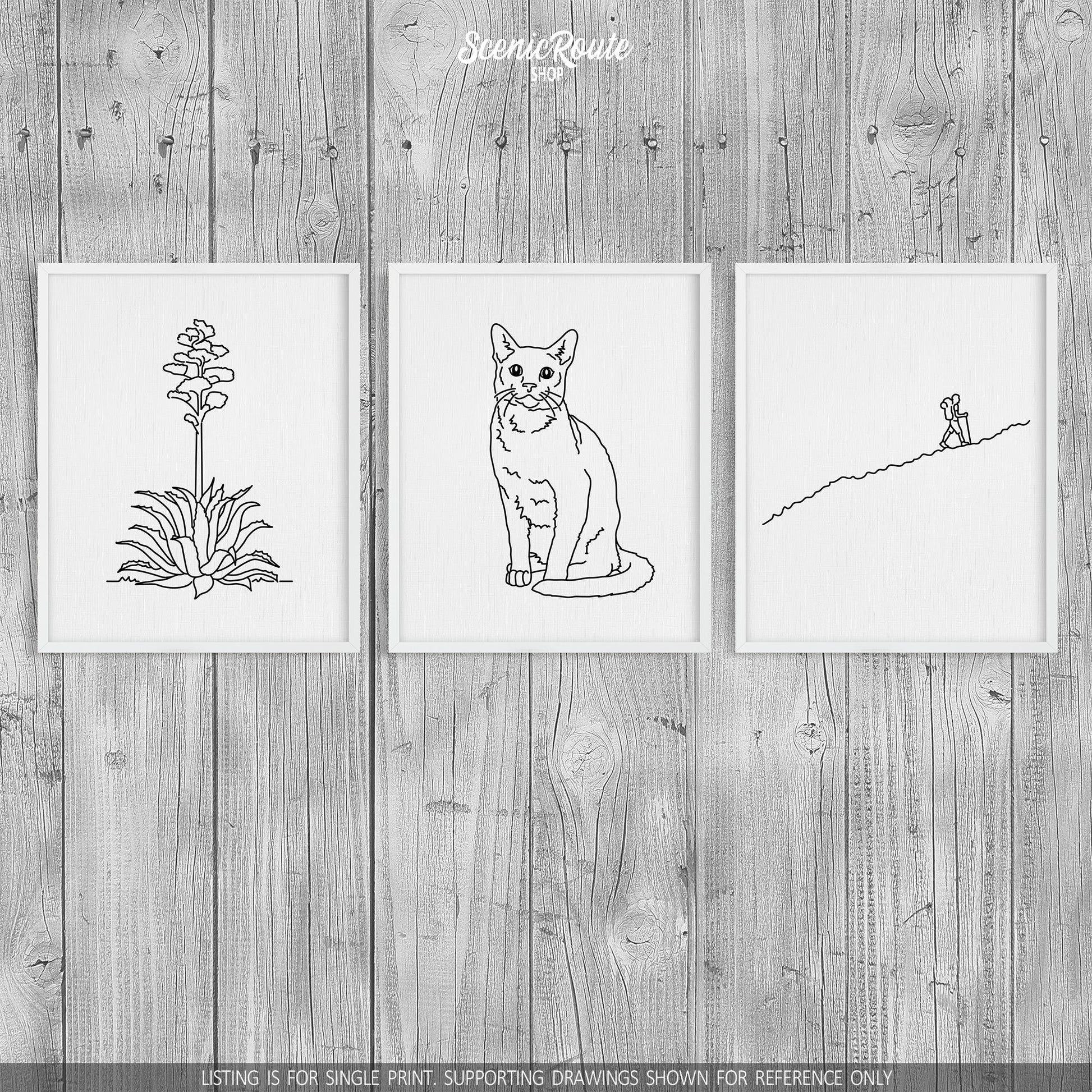 A group of three framed drawings on a wood wall. The line art drawings include a Century Plant, a Russian Blue cat, and a person Hiking